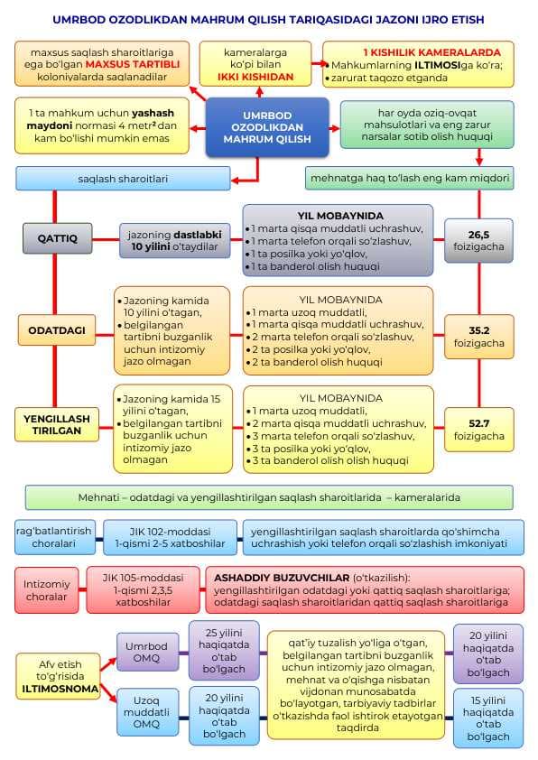 Umrbod ozodlikdan mahrum qilish jazosi ijrosi (infografika)