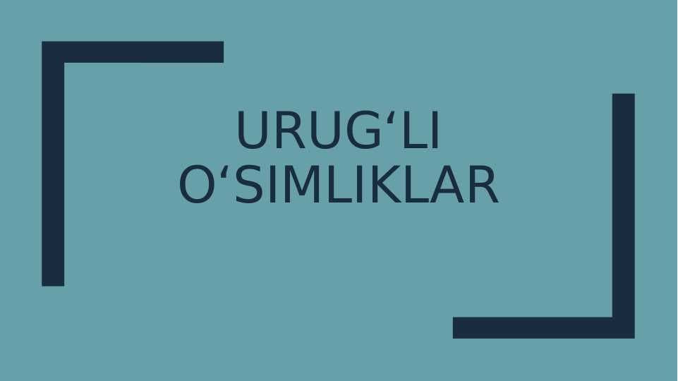 Urug'li o'simliklar