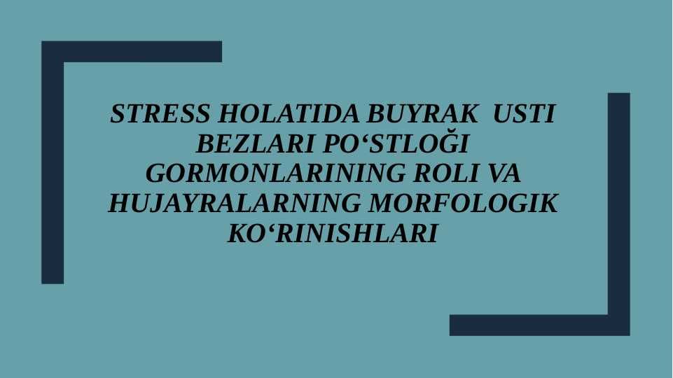 Stress holatida buyrak  usti bezlari poʻstlog'i gormonlarining roli va hujayralarning morfologik koʻrinishlari