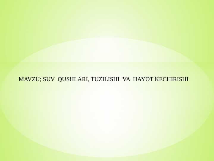 SUV  QUSHLARI, TUZILISHI  VA  HAYOT KECHIRISHI