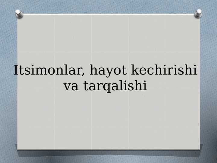 Itsimonlar, hayot kechirishi va tarqalishi