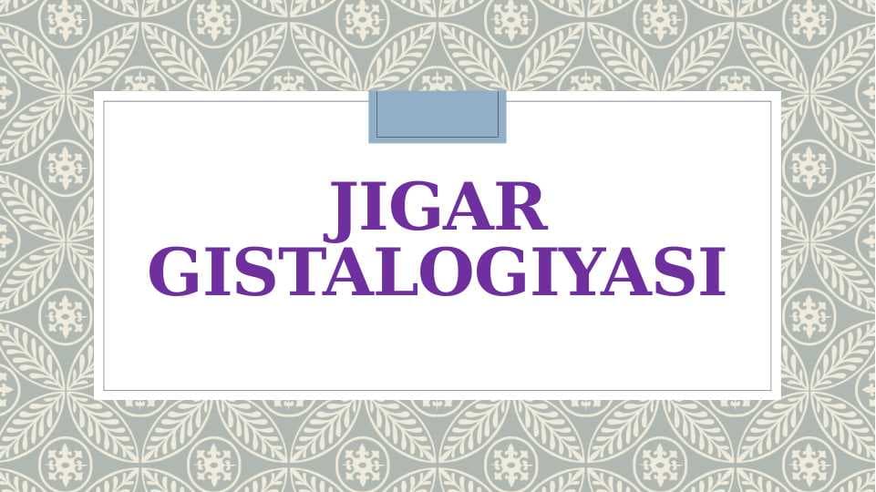 Jigar gistalogiyasi