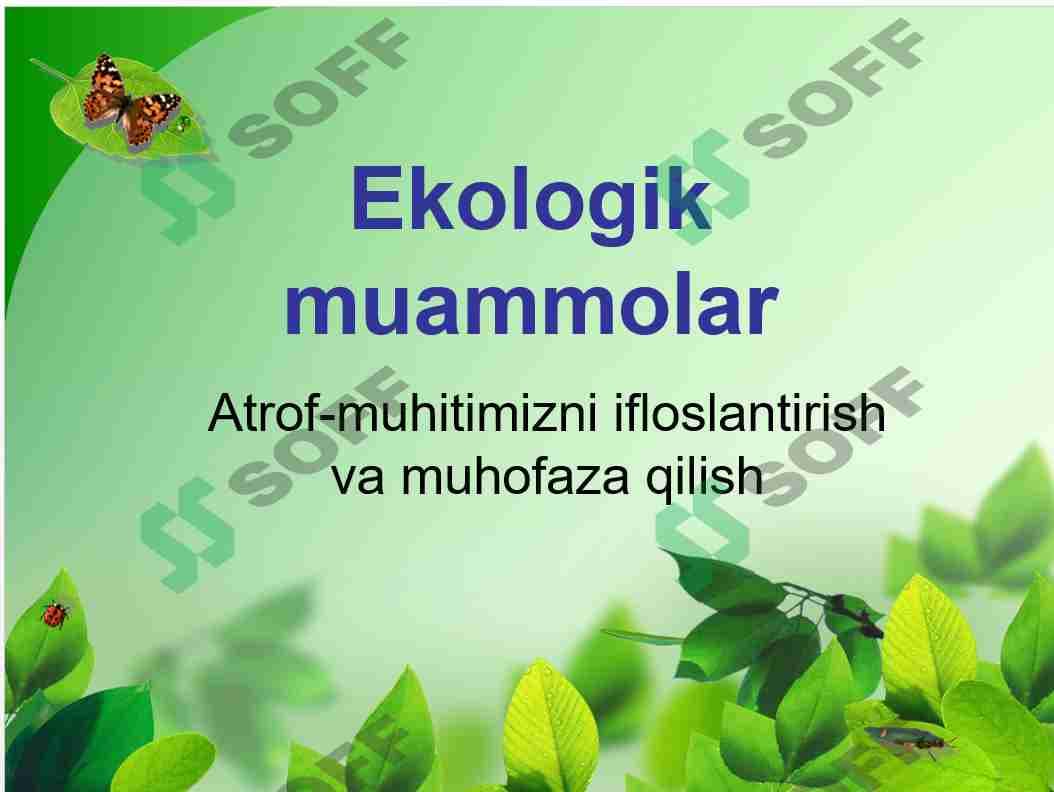 Ekologik muammolar