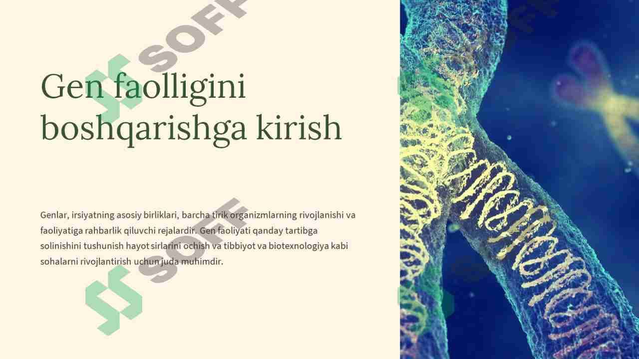 Gen faoliyatining  boshqarilishi