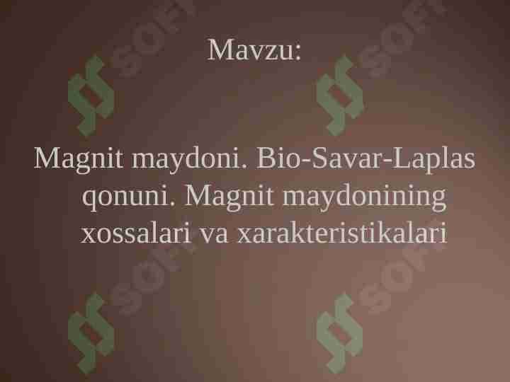 magnit maydon