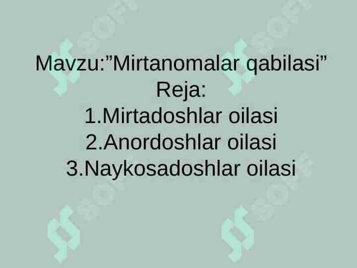 Mirtanomalar qabilasi