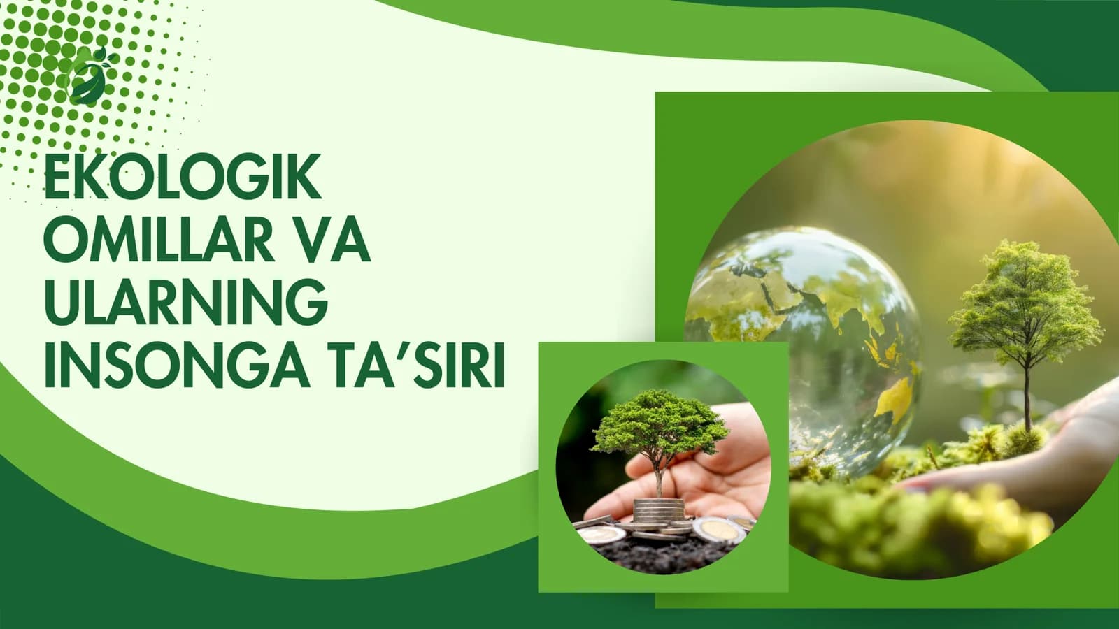 Ekologik Omillar va Ularning Insonga Ta’siri
