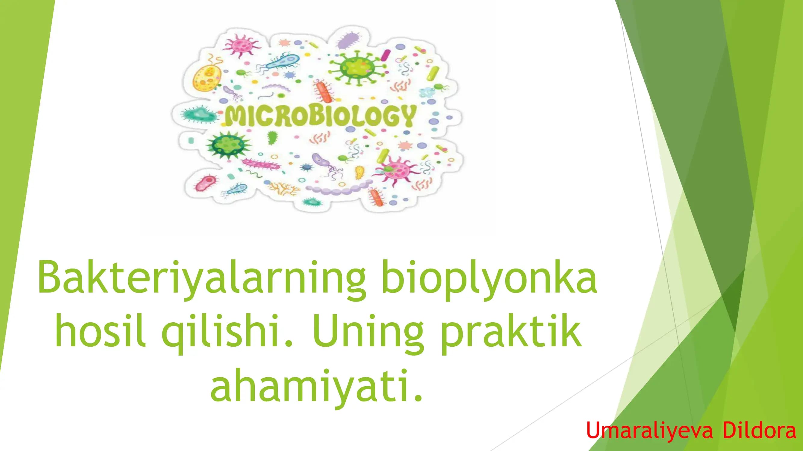 Bioplyonka