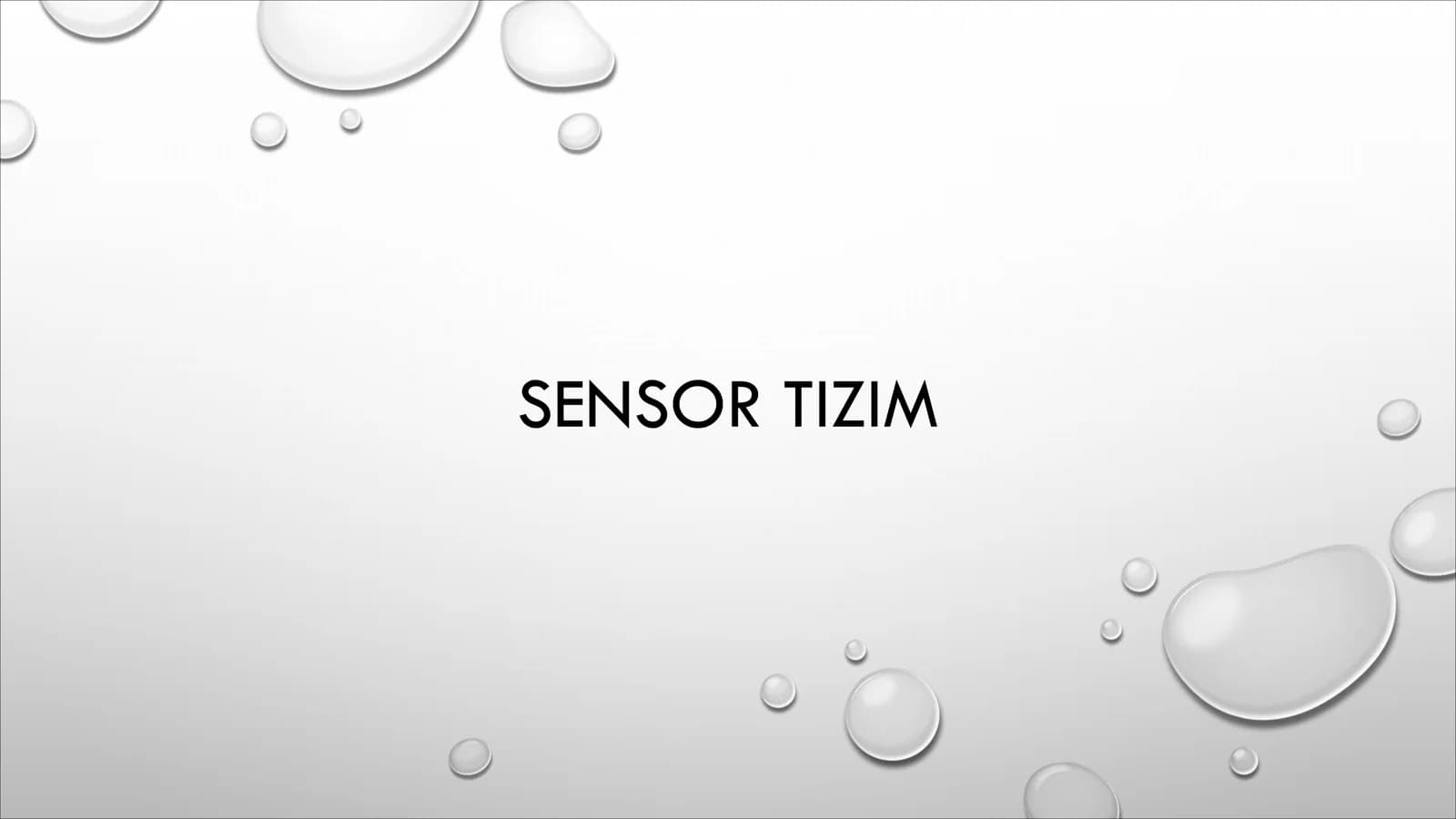 Sensor tizim