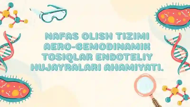 Nafas olish tizimi aero-gemodinamik to’siqlar endoteliy hujayralari ahamiyati
