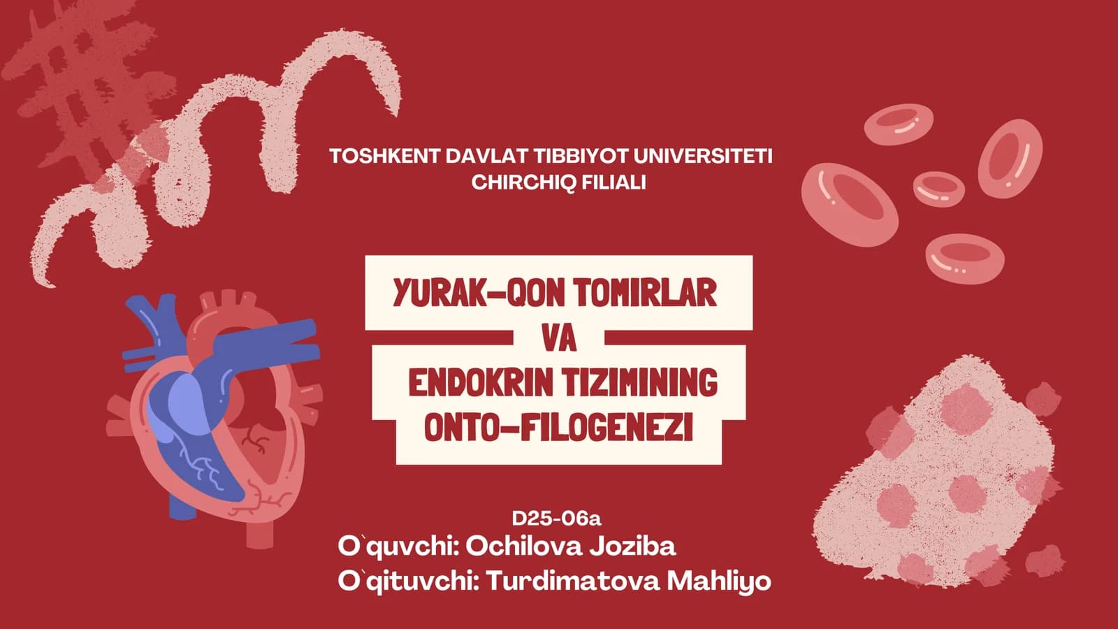 YURAK-QON TOMIRLAR VA ENDOKRIN TIZIMINING ONTO-FILOGENEZI