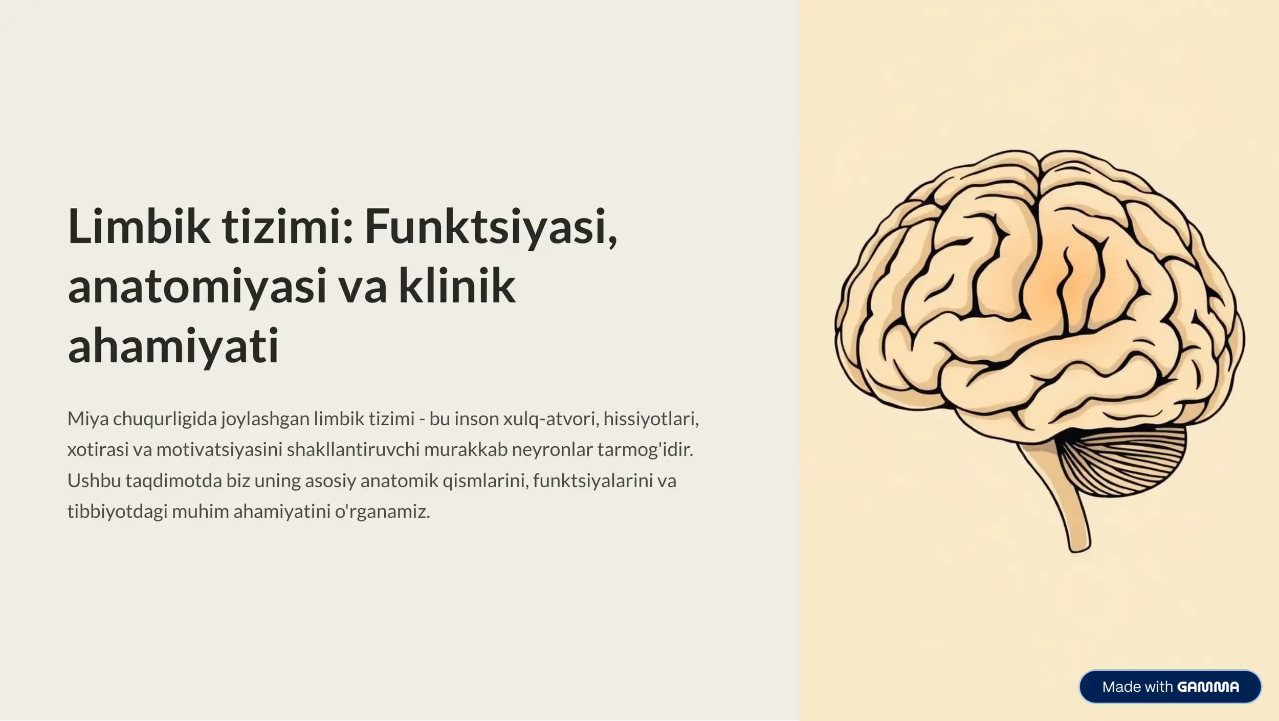 Limbik tizim