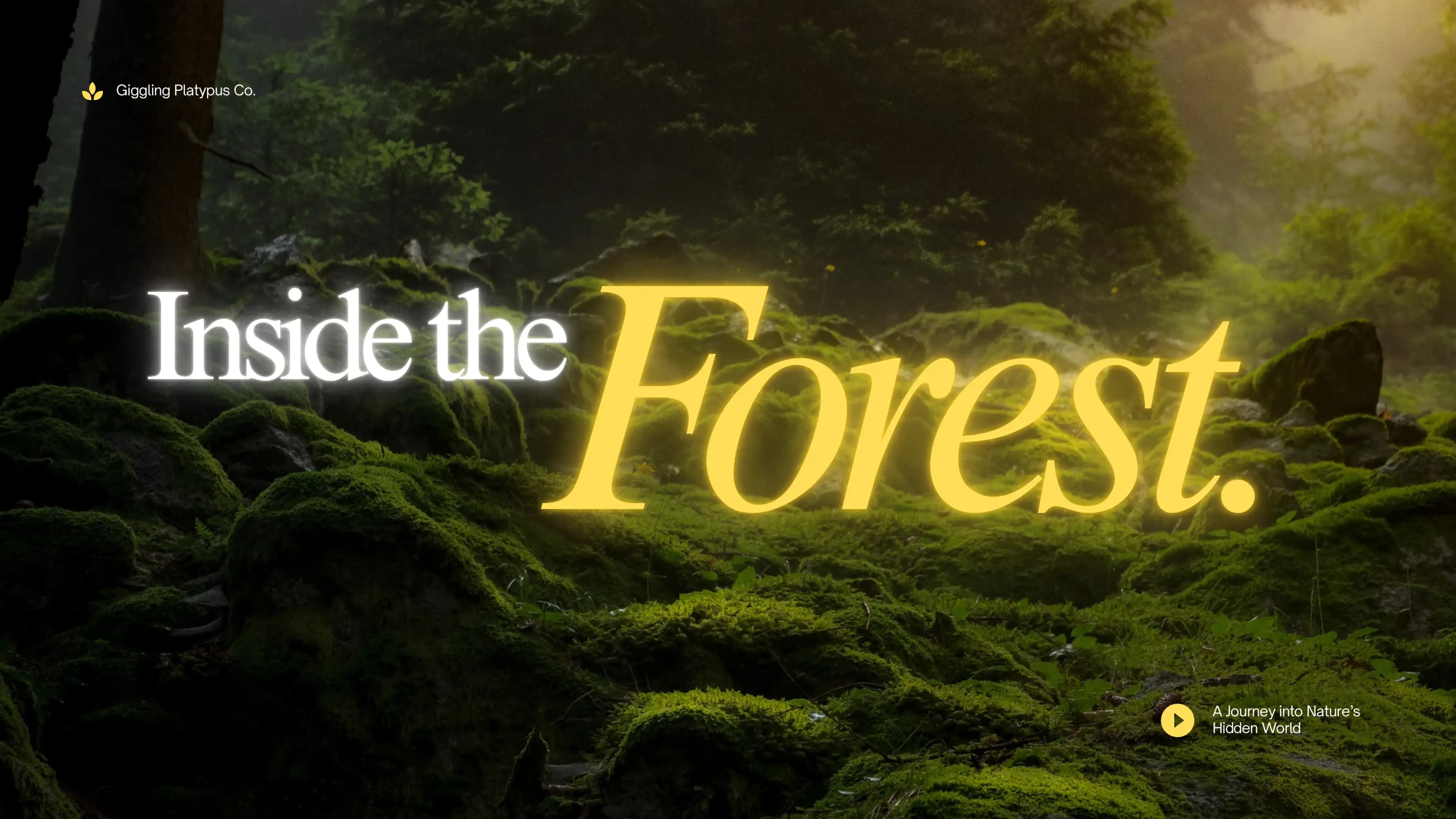 Understanding the Living System We Call Forest