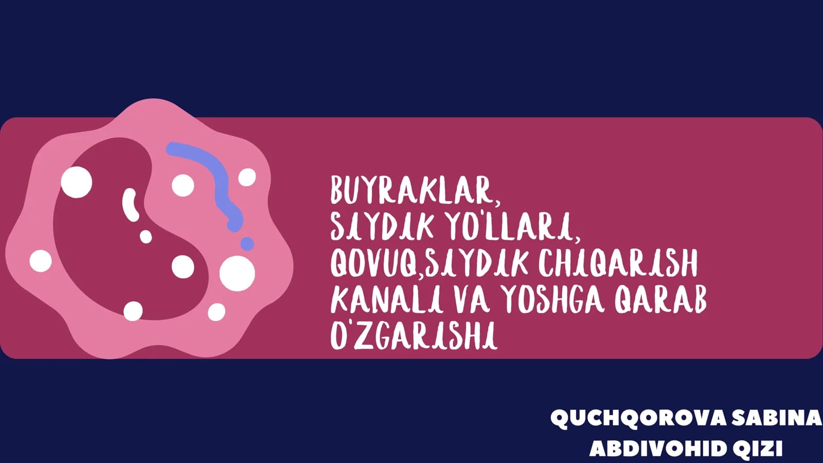 QUCHQOROVA SABINA ABDIVOHID QIZI BUYRAKLAR