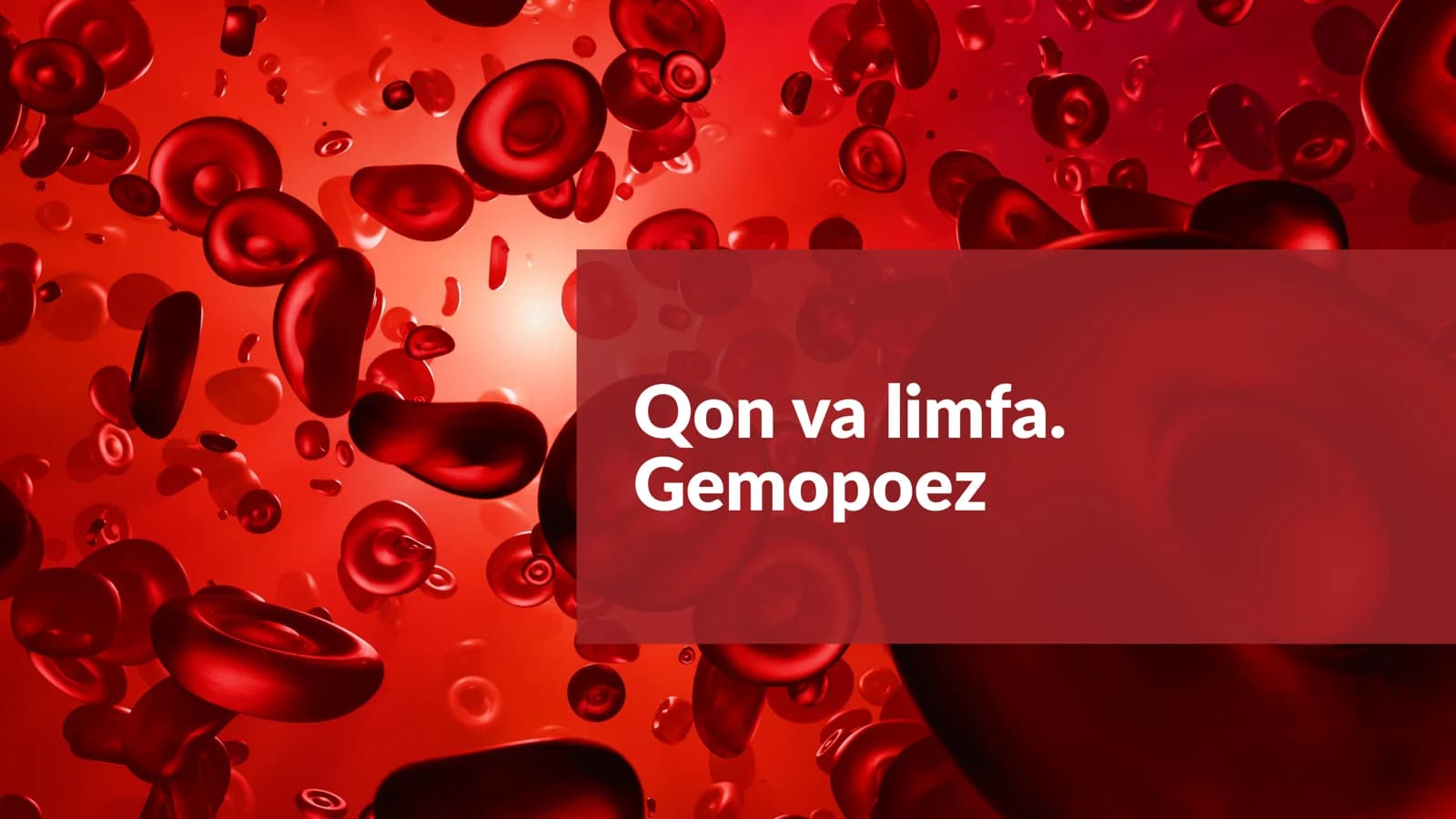 Qon limfa gemopoez