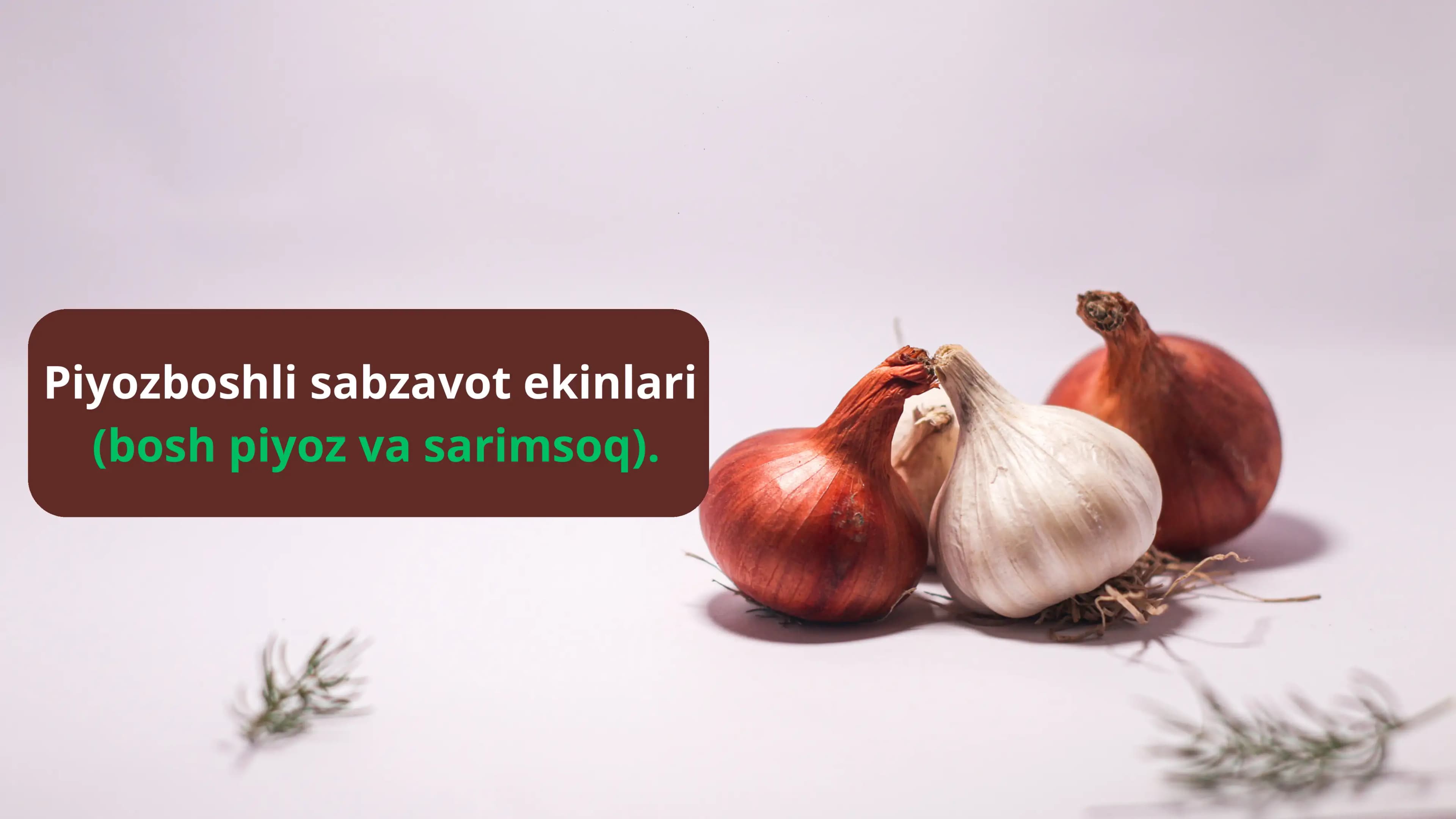 Piyozboshli sabzavot ekinlari