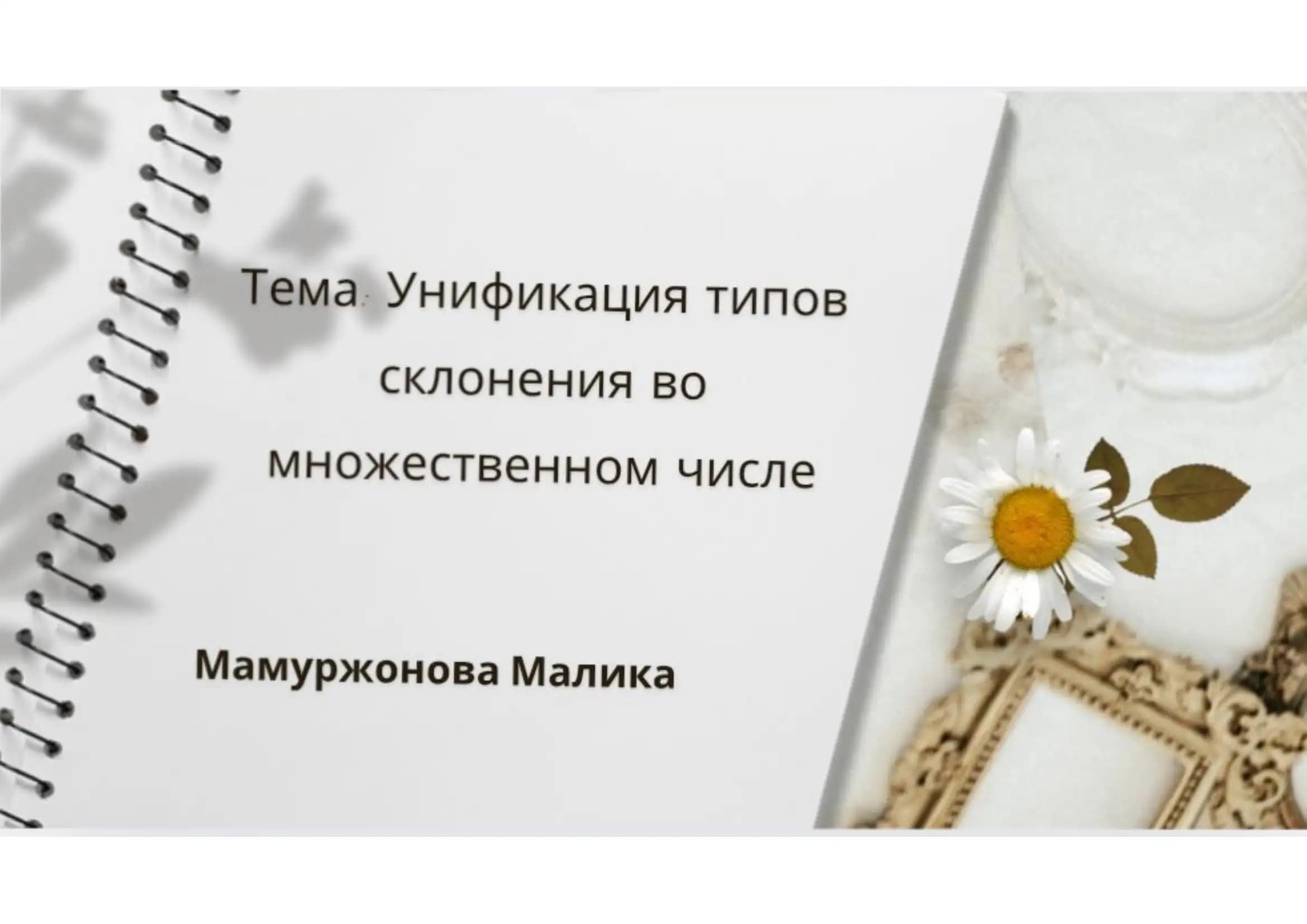Унификация типов склонение во множественном числе