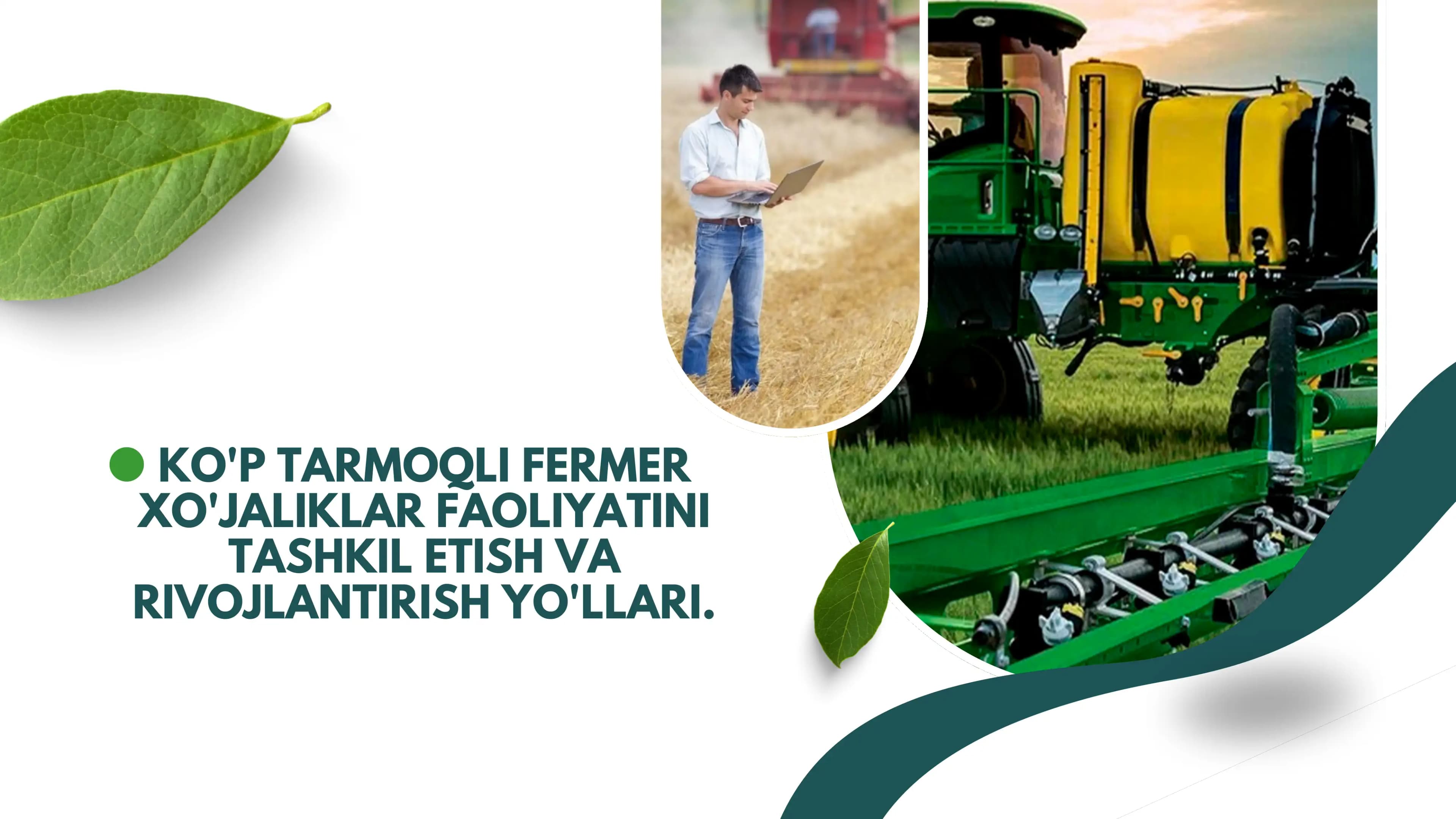 Ko'p tarmoqli fermer xo'jaliklar faoliyatini tashkil etish va rivojlantirish yo'llari