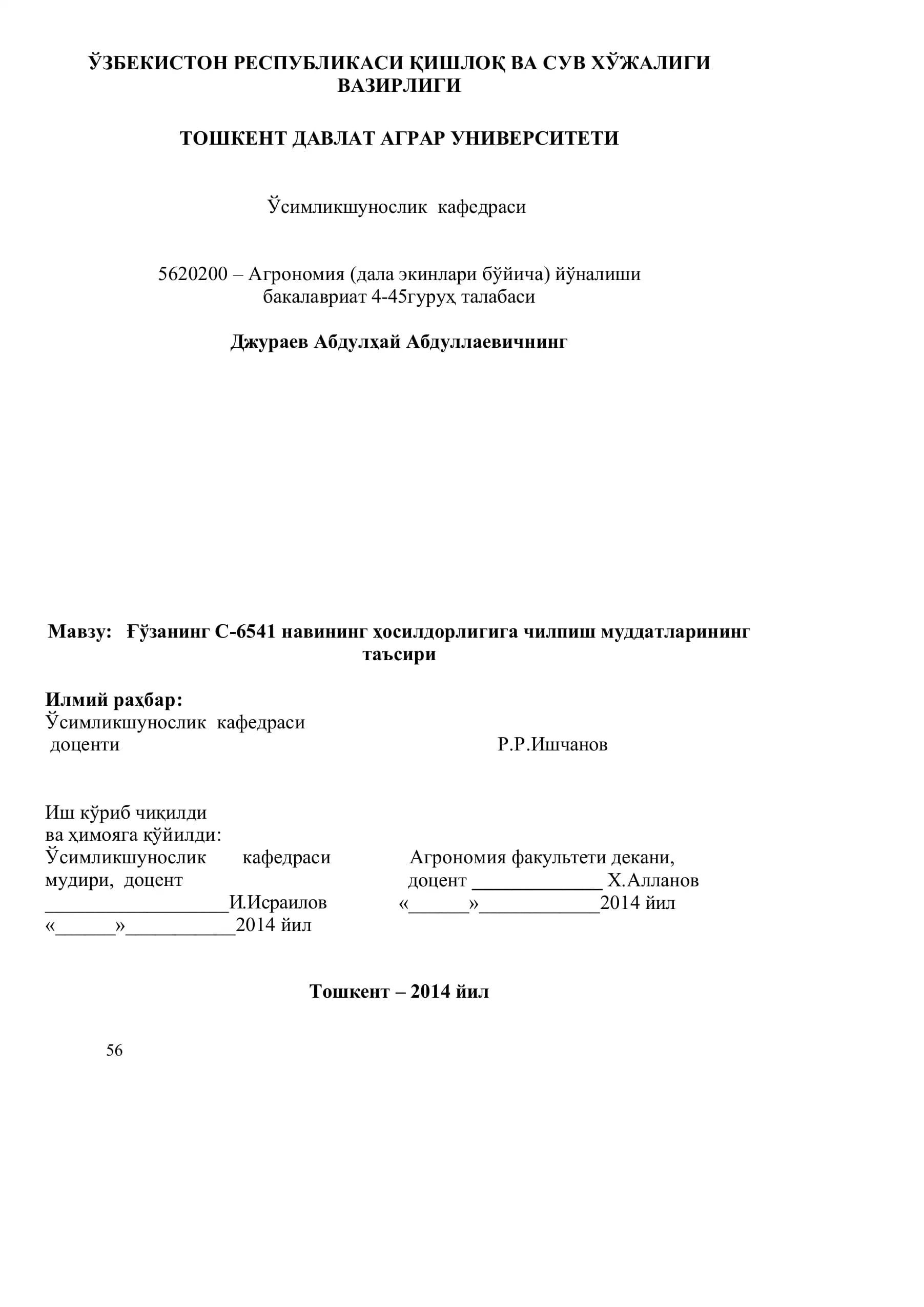 C-6541 навининг ҳосилдорлигига чилпиш муддатларининг таъсири