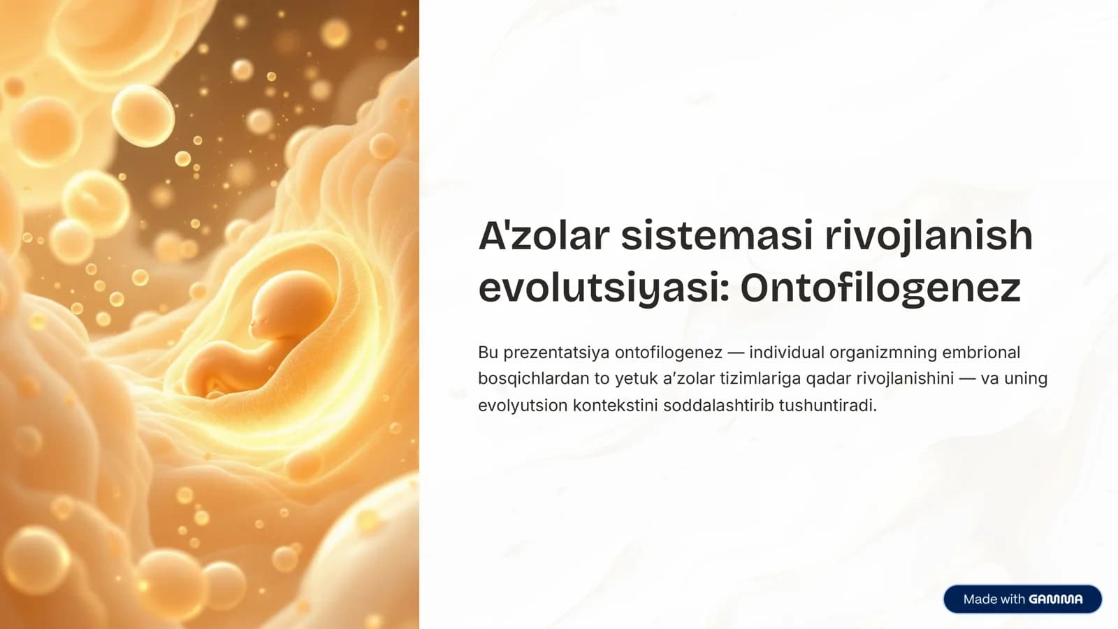 A'zolar sistemasi rivojlanish evolutsiyasi: Ontofilogenez