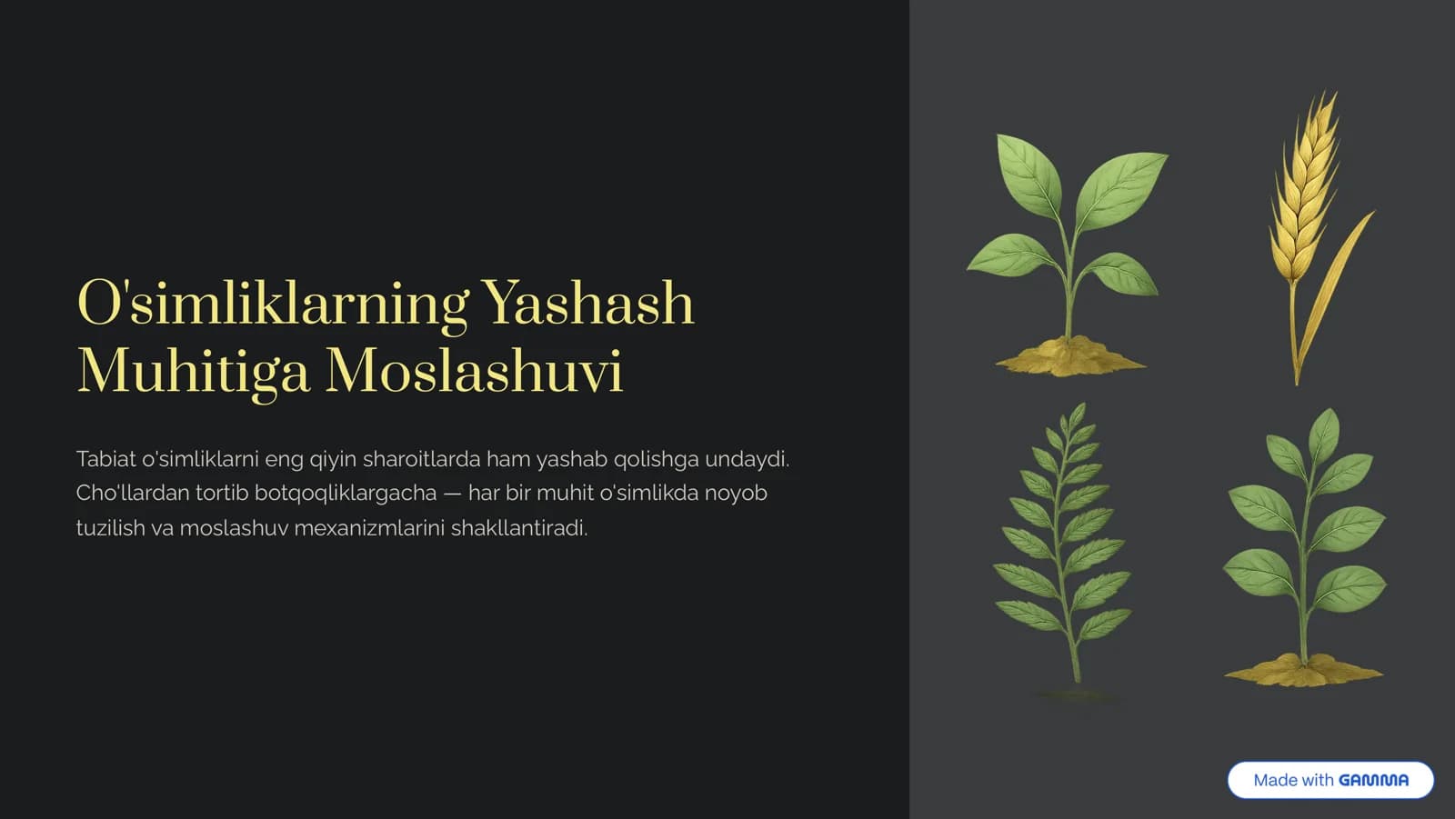 O'simliklarning Yashash Muhitiga Moslashuvi