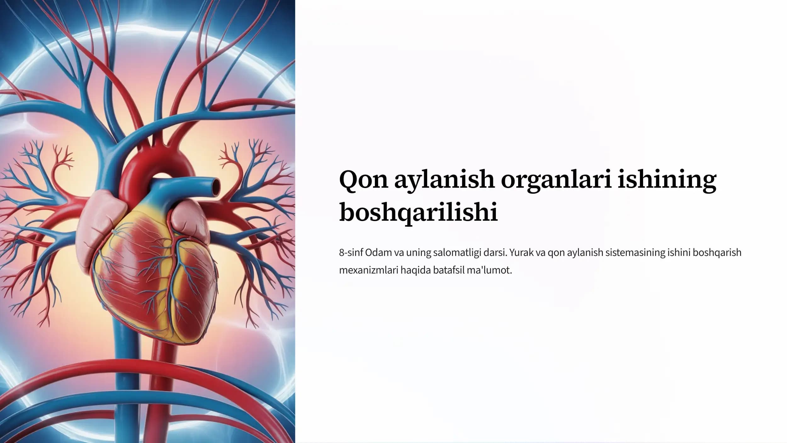 Yurak va Qon Aylanish Sistemasi Ishi boshqarilishi