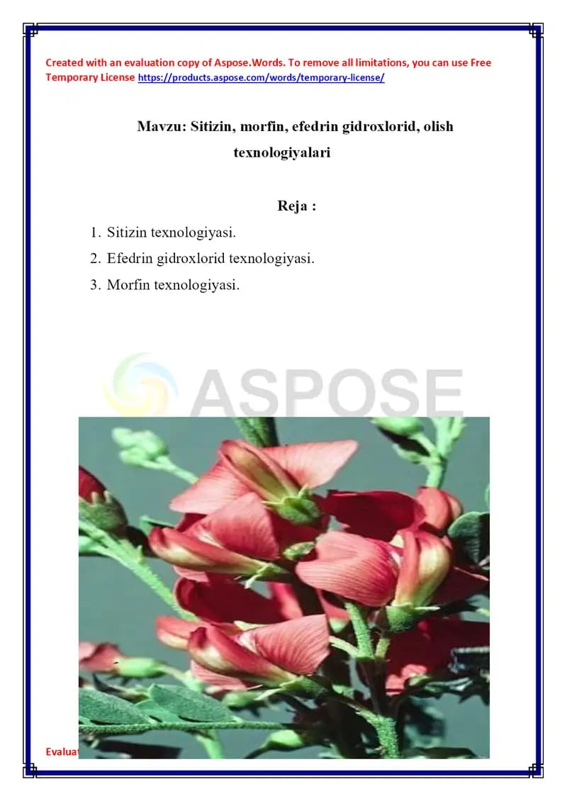 Sitizin, morfin, efedrin gidroxlorid, olish texnologiyalari