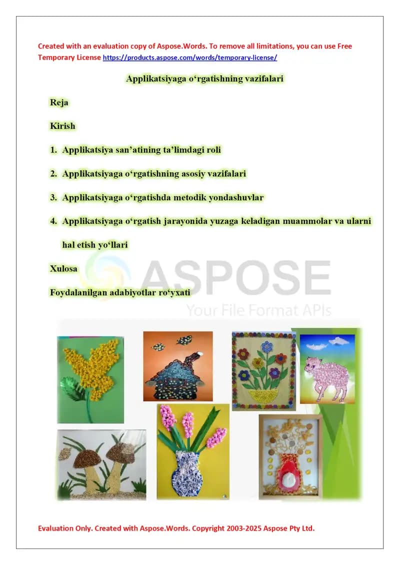 Applikatsiyaga o‘rgatishning vazifalari