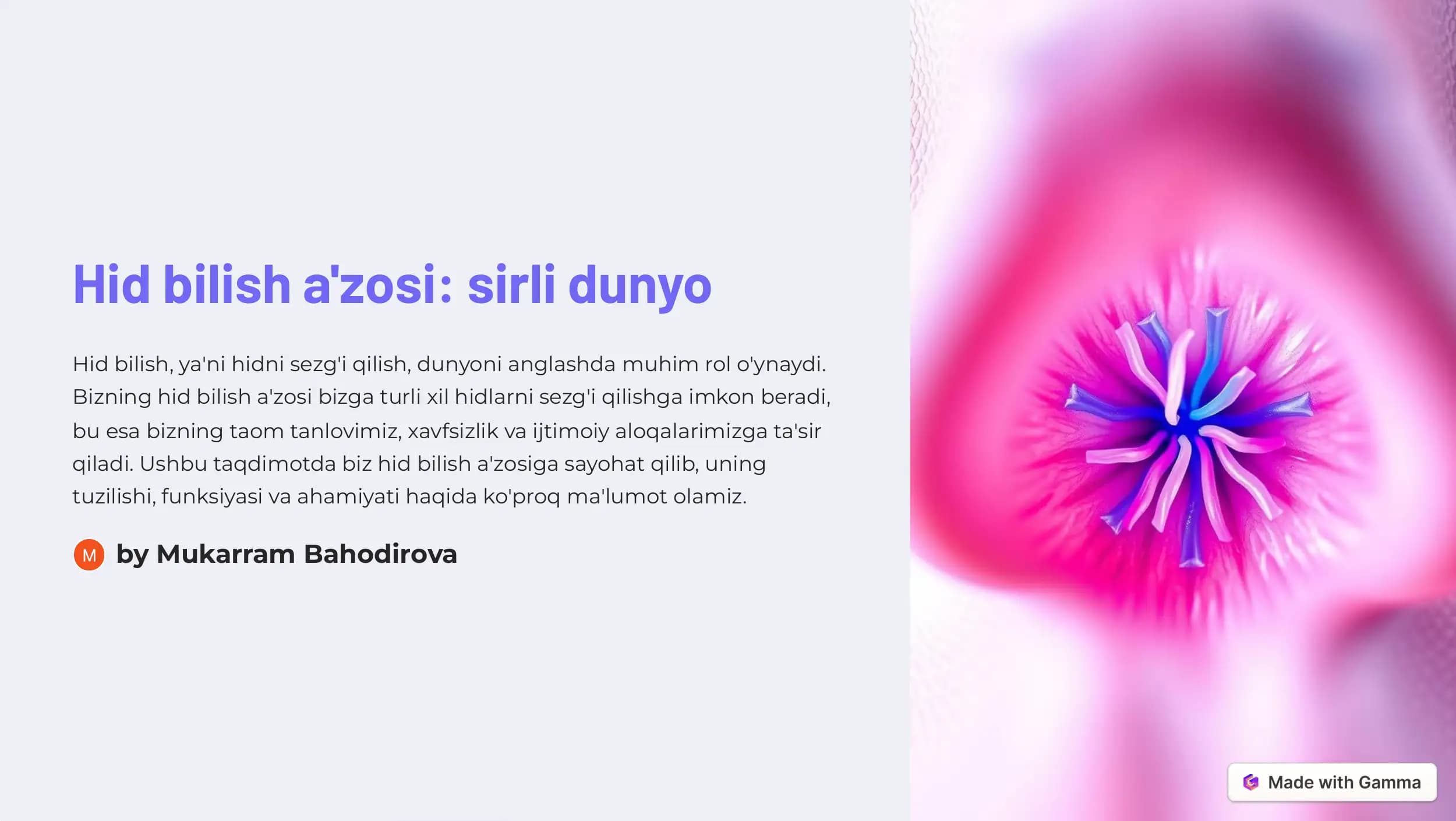 Hid bilish a'zosi: sirli dunyo
