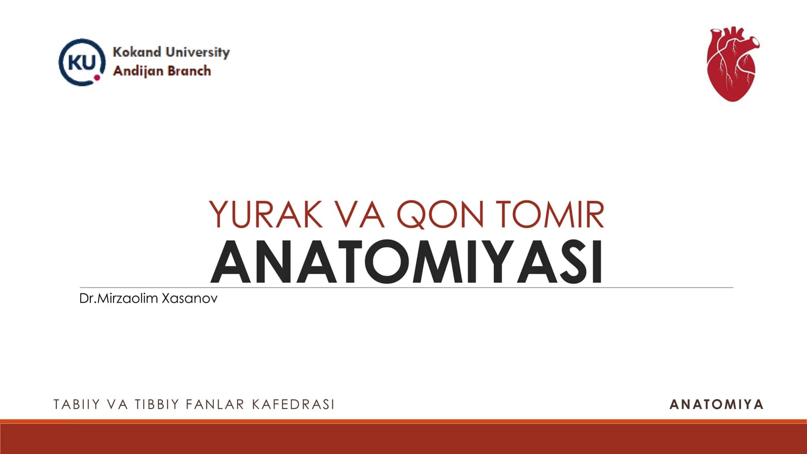 YURAK VA QON TOMIR ANATOMIYASI