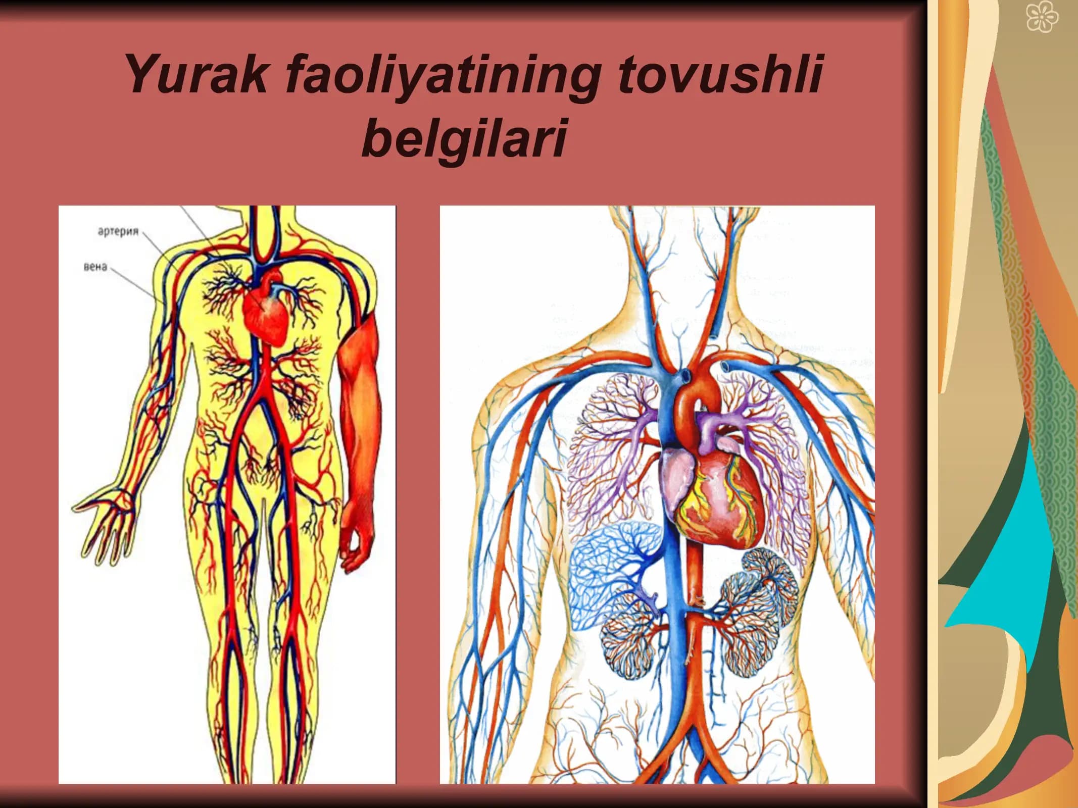 Qon aylanish sistemasi