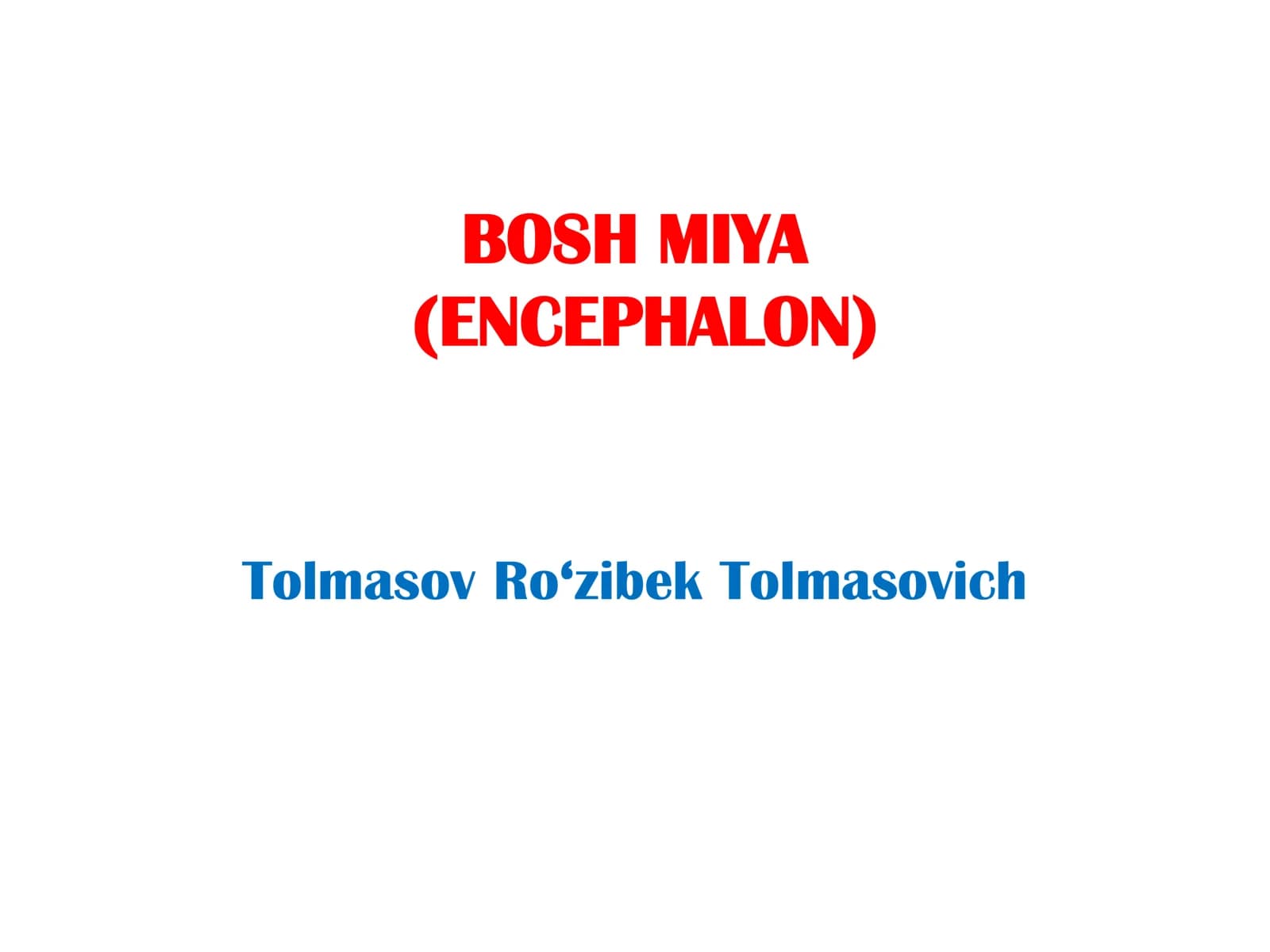BOSH MIYA (ENCEPHALON)