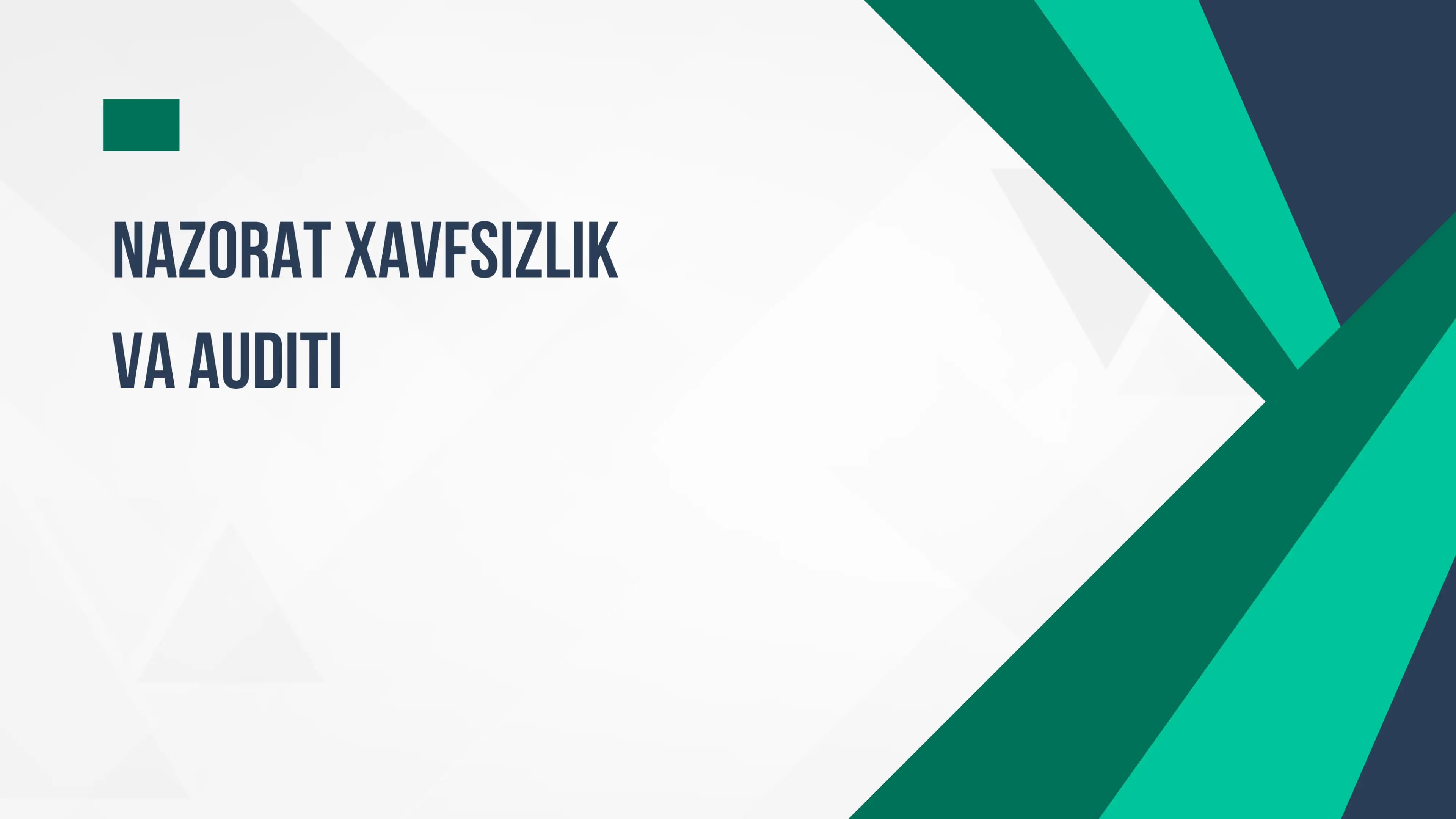 Nazorat xavfsizlik va auditi