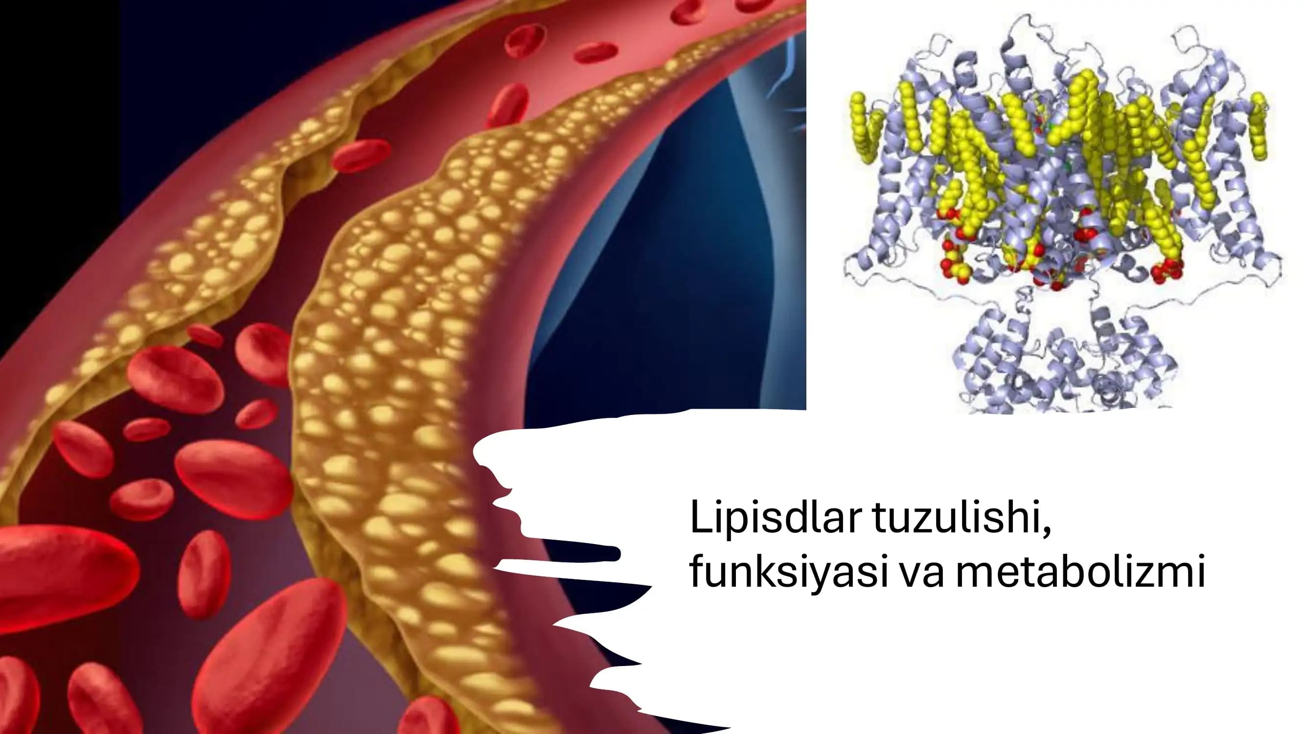 8 mavzu surunkali gepatit