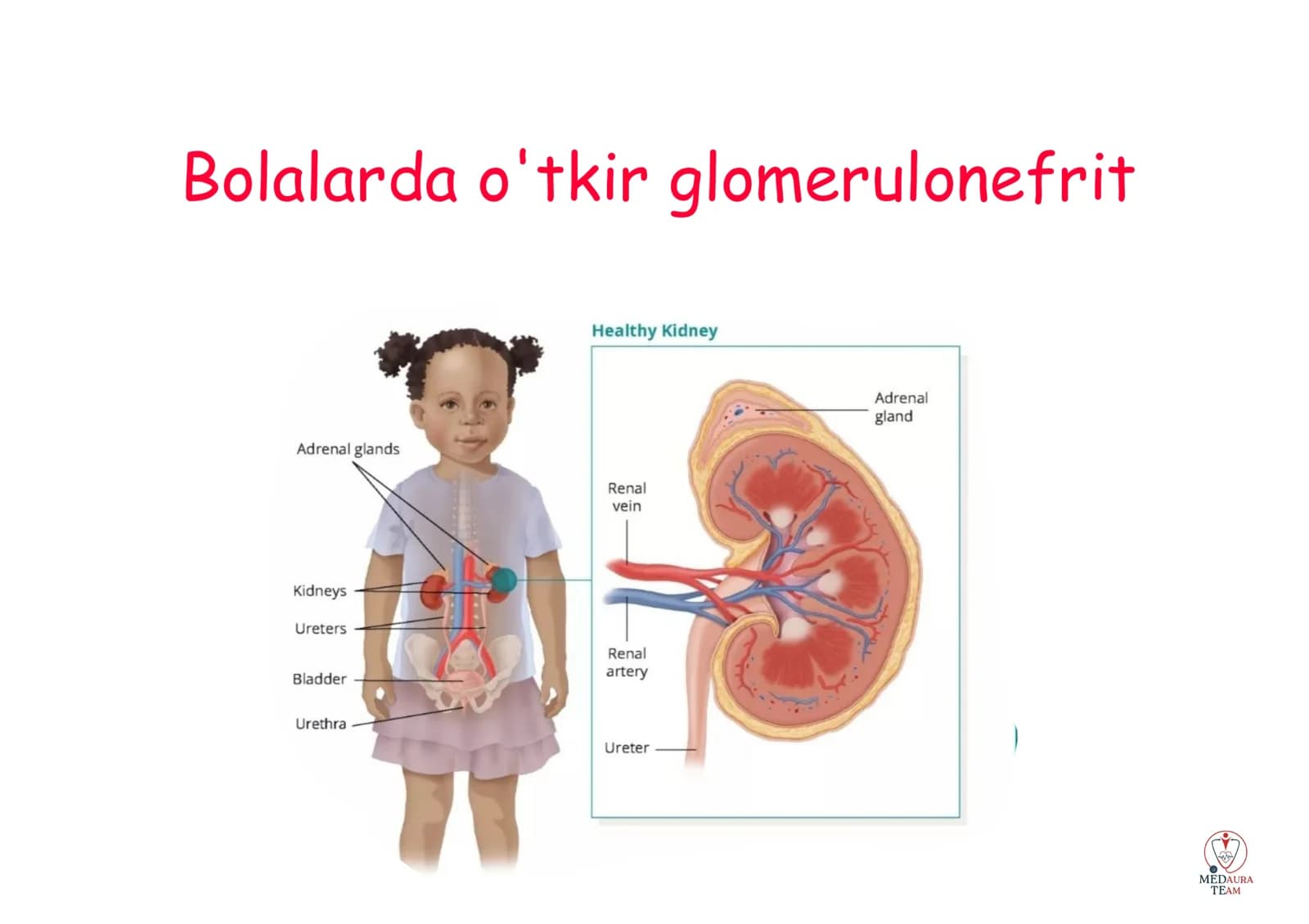 glomerulonefrit kasalligi