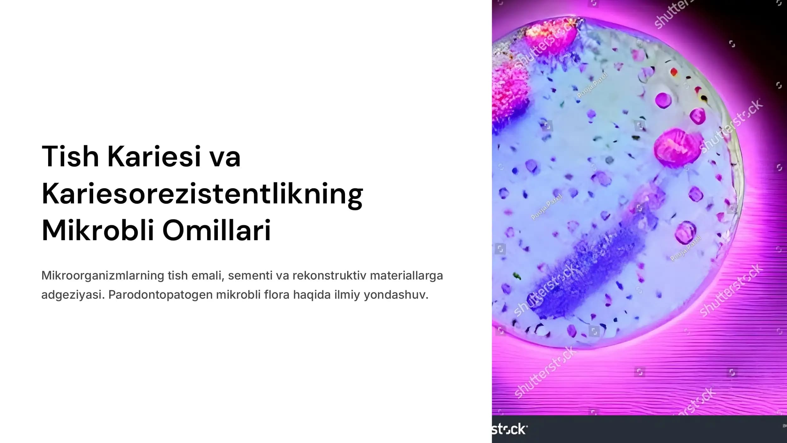 Tish kariesi va  kariesorezistentlikning  mikrobli omillari.  Mikroorganizmlarning  tish emali, sementi va  rekonstruktiv  materiallarga  adgeziyasi.  Parodontopatogen  mikrobli flora.