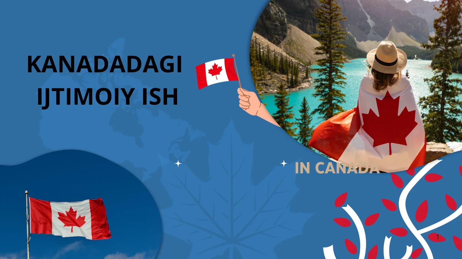 KANADADAGI IJTIMOIY ISH