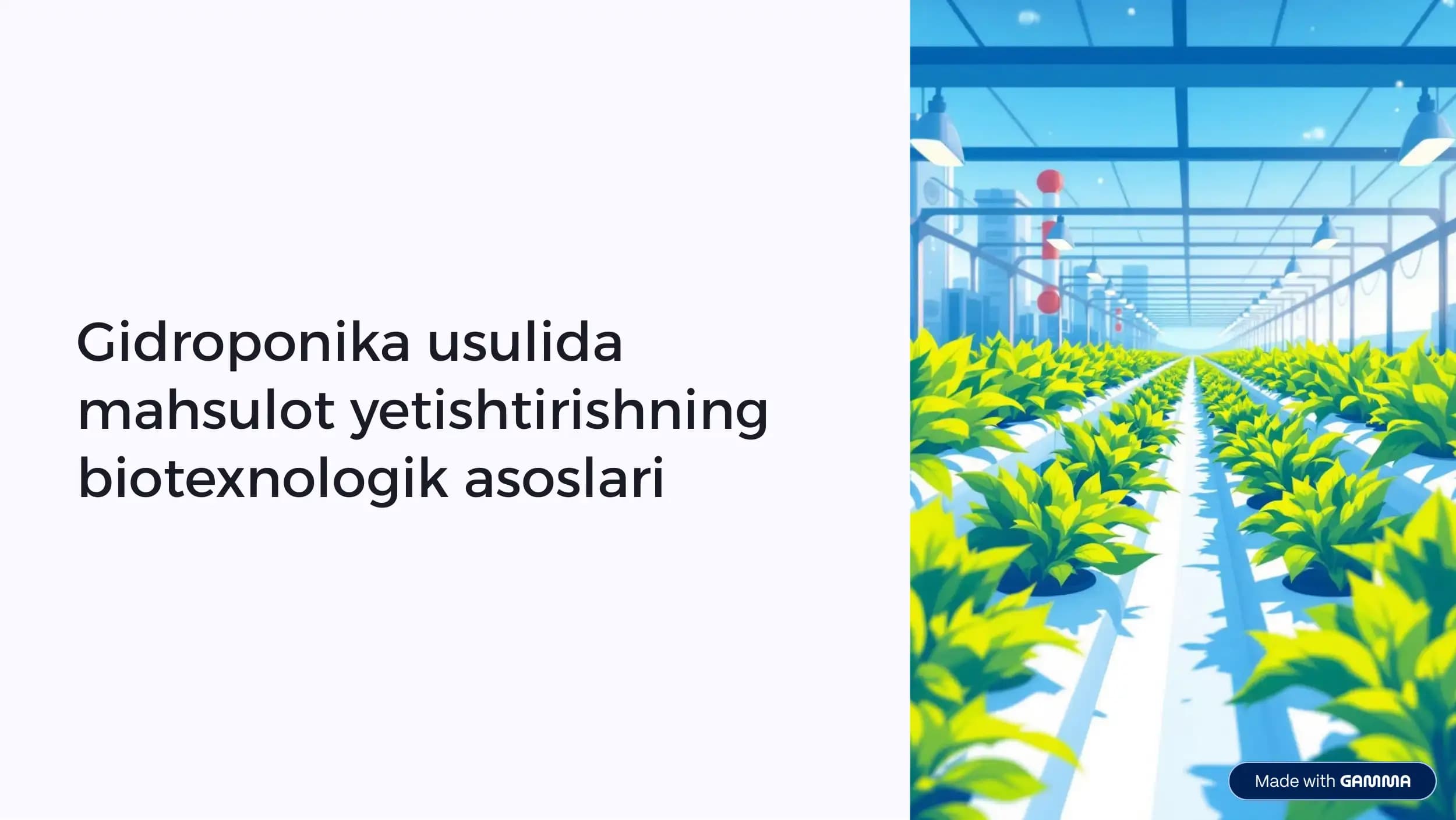 Gidroponika usulida mahsulot yetishtirishning biotexnologik asoslari