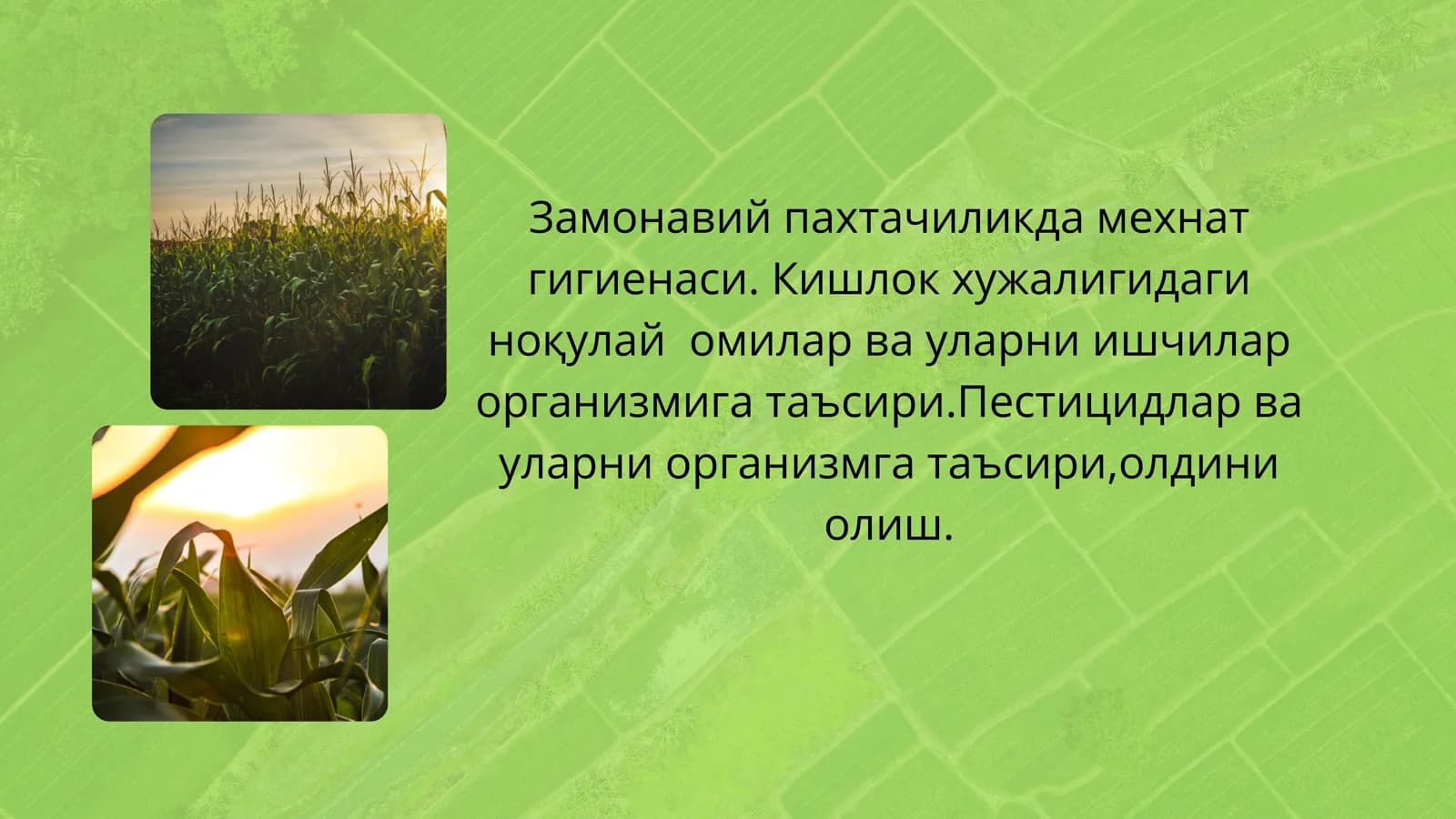 Замонавий пахтачиликда мехнат гигиенаси