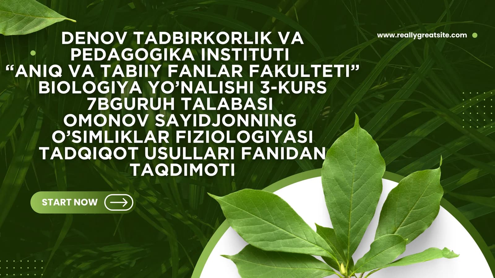 O‘simliklar hujayra energetikasi