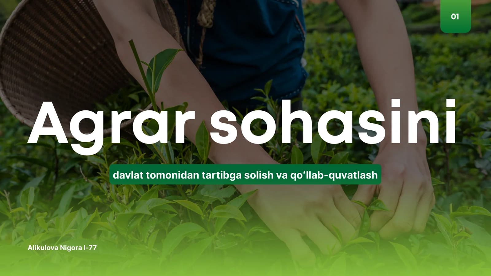 Agrar sohasini davlat tomonidan tartibga solish va qoʻllab-quvatlash