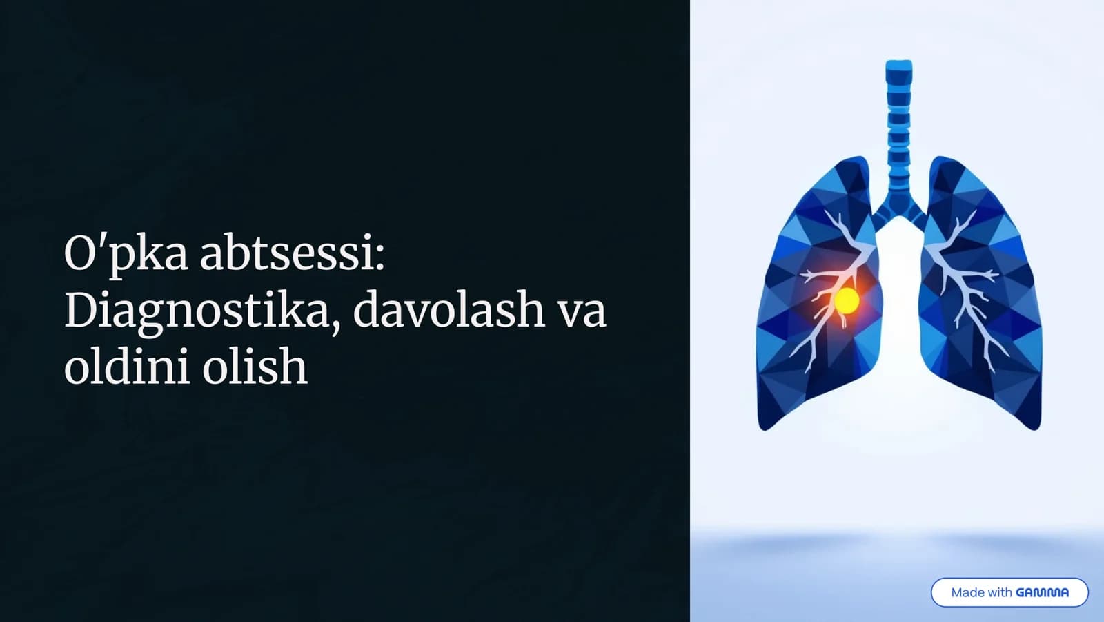 Opka asbssesi