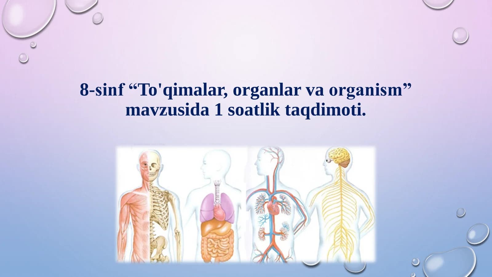 8-Sinf Biologiya: “To‘qimalar, Organlar va Organizm” 1 Soatlik Taqdimot