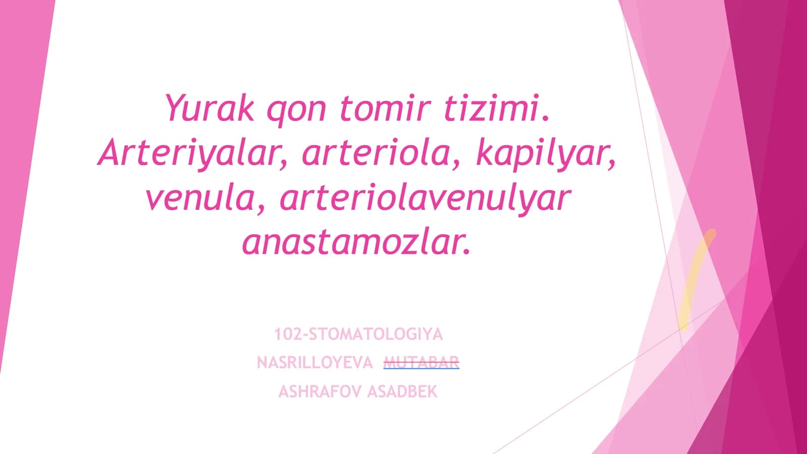 Yurak qon tomir tizimi
