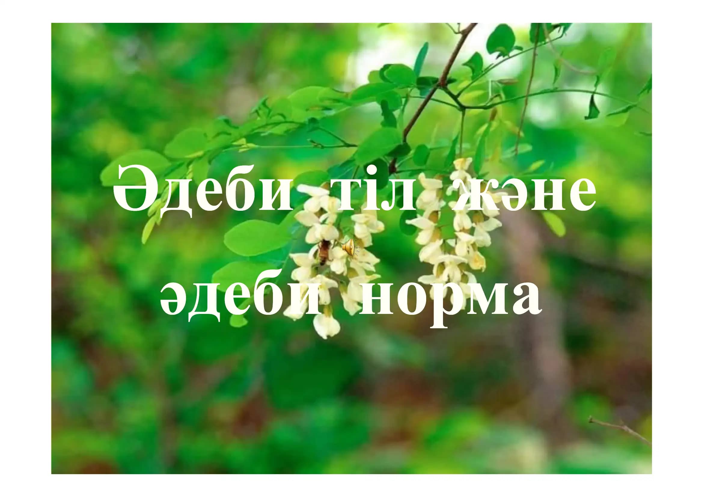 Әдеби тіл және әдеби норма