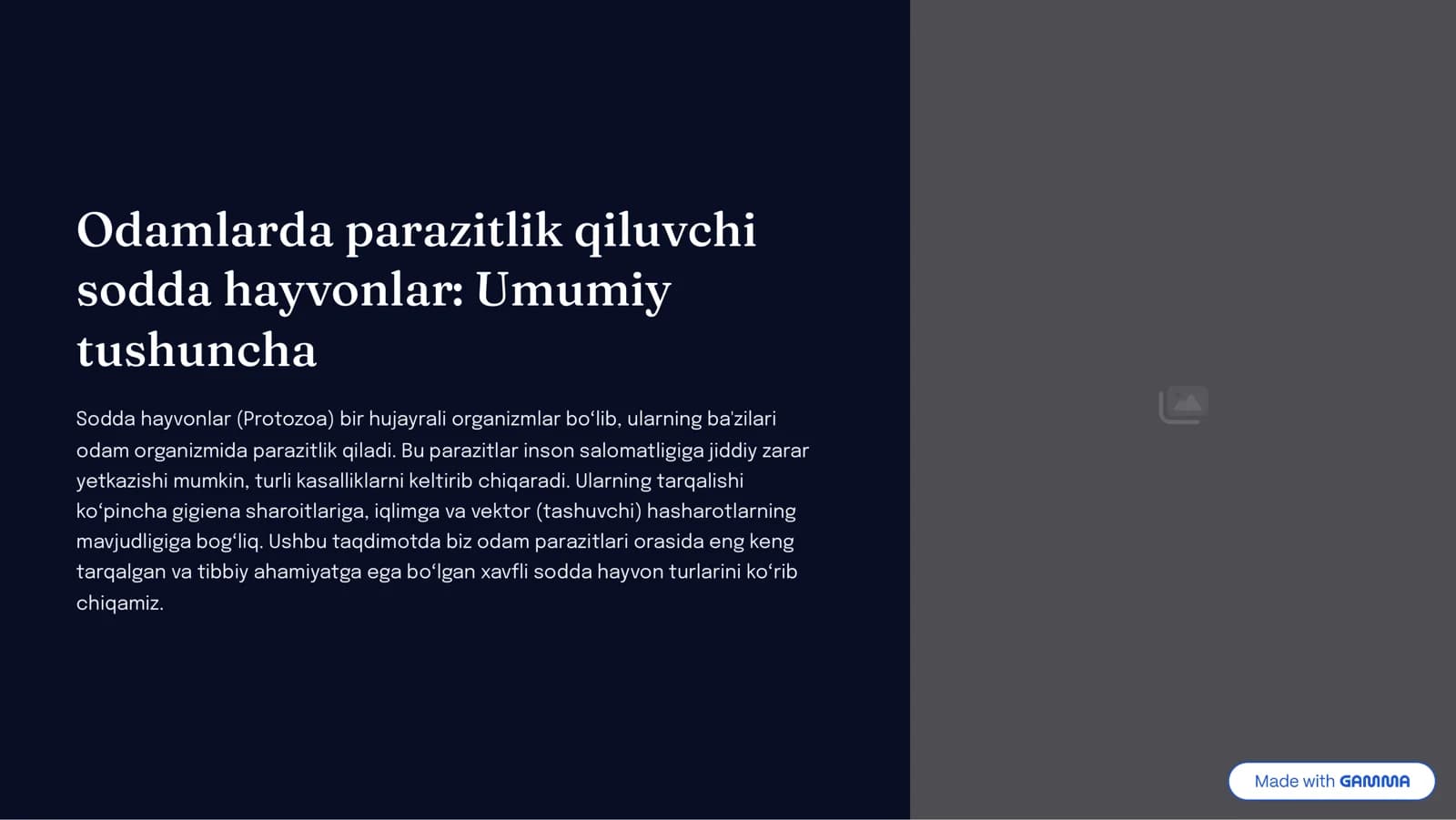 Odamlarda parazitlik qiluvchi sodda xayvonlar: xivchinlilar odam parazitlari: tripanosomalar, leyshmaniyalar, trixomonodalar, lyambliyalar