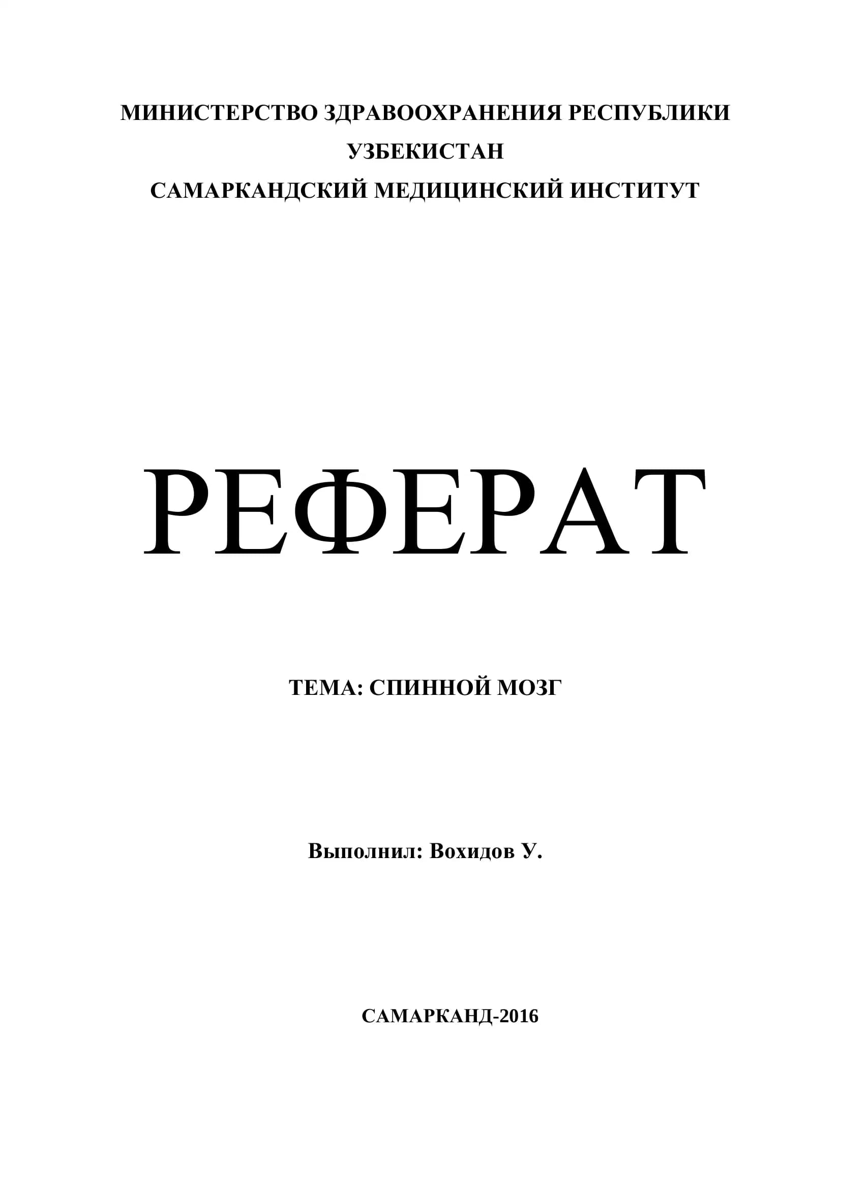 СПИННОЙ МОЗГ