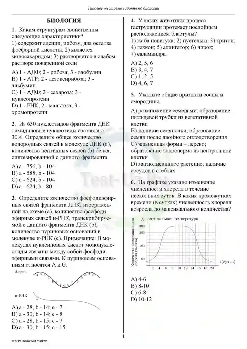 Биология test