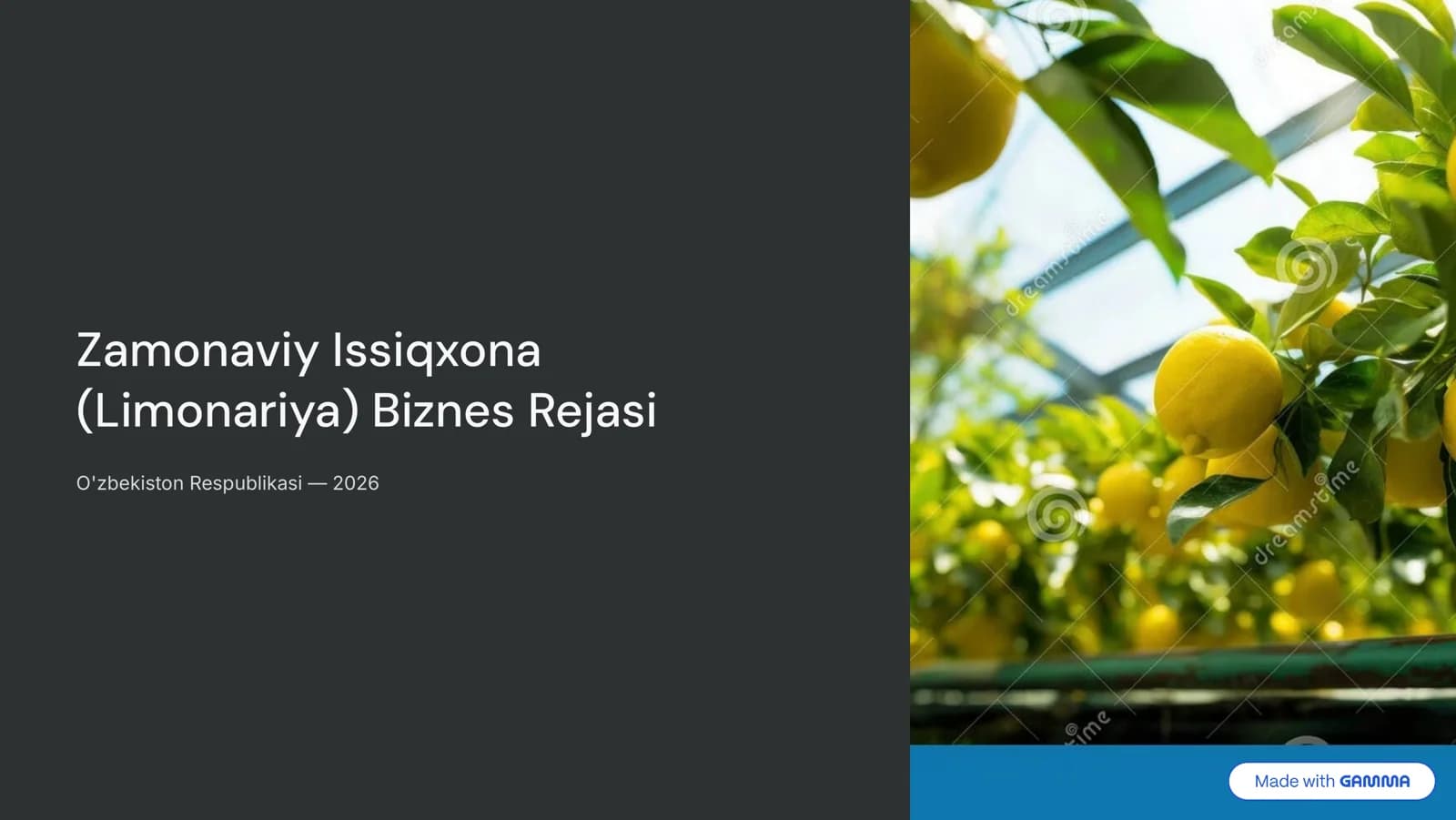 Zamonaviy Issiqxona (Limonariya) Biznes Rejasi