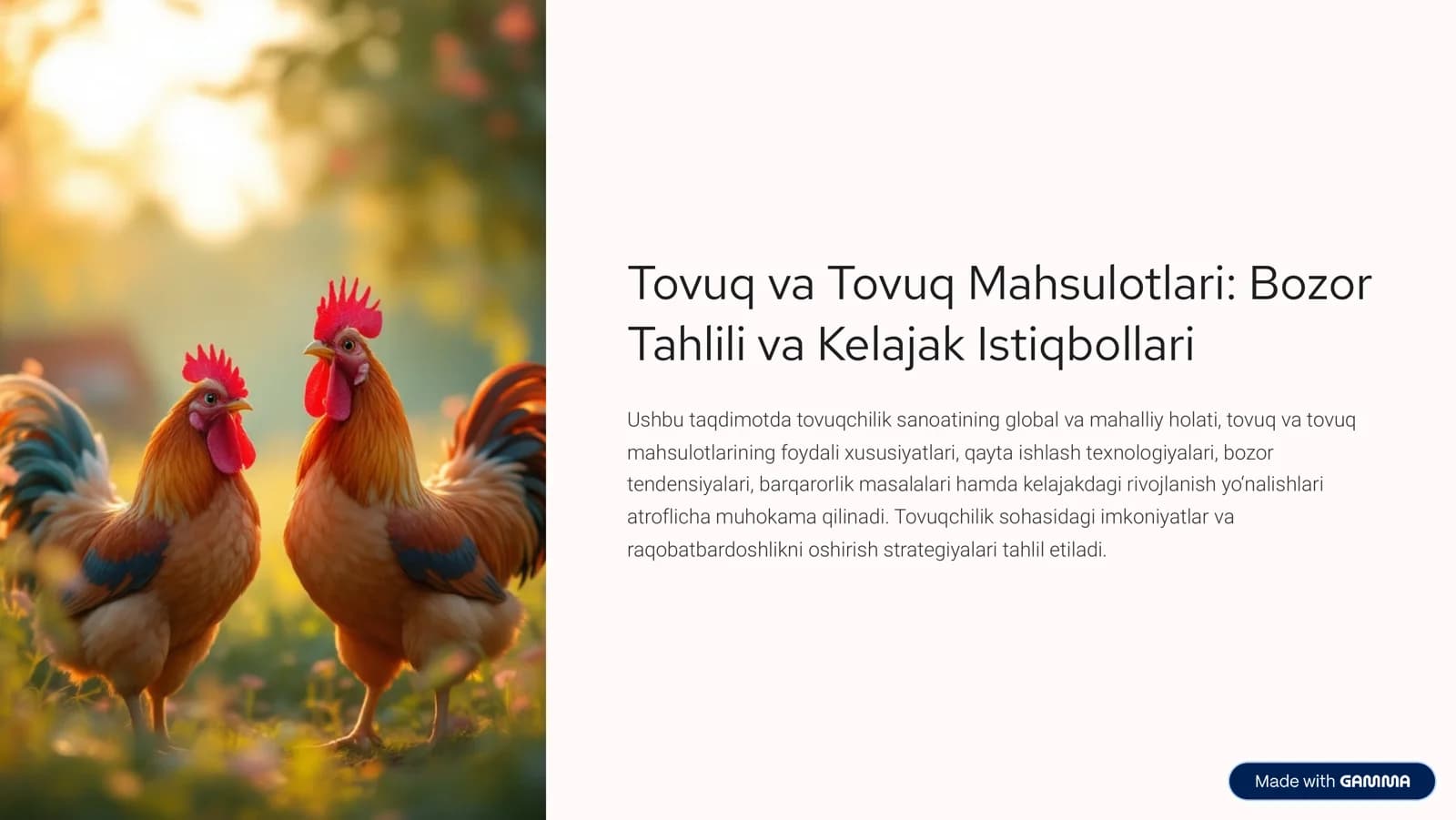 tovuq va tovuq mahsulotlari haqida qiziqarli slaydlar.
